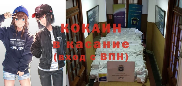 гидра Арсеньев