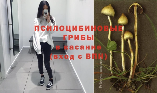 СК Мегион
