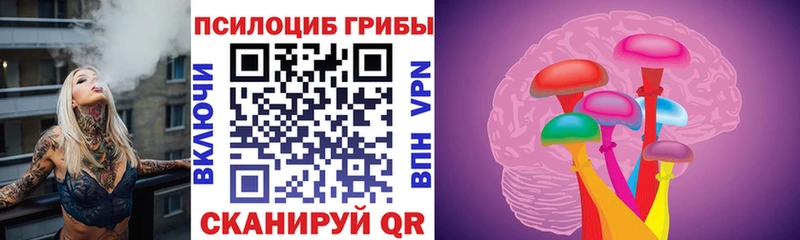 Галлюциногенные грибы MAGIC MUSHROOMS  купить   Семикаракорск 